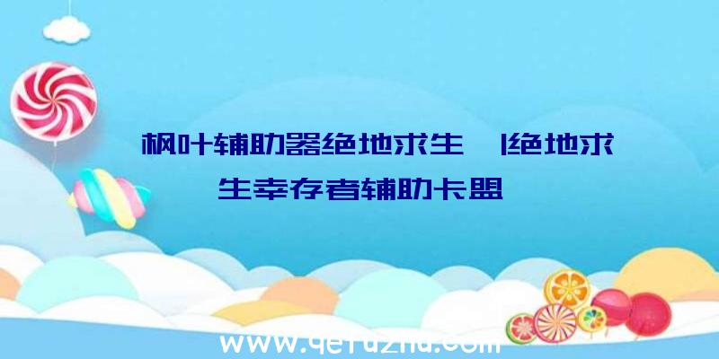 「枫叶辅助器绝地求生」|绝地求生幸存者辅助卡盟